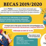 Becas Necesidades Educativas Especiales